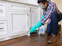 Best Pest Control for Multi-Family Homes  in Ridley Rk, PA